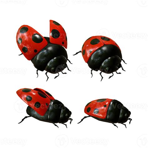 Download Free Ladybug with 3D Wings | Applique Embroidery DXF Files