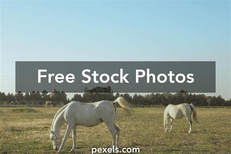 Free Landscape Pictures Download