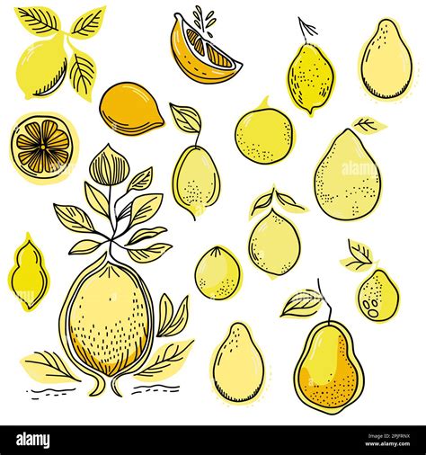 Download Free Lemon Set | Summer | SVG Cut File DXF Files