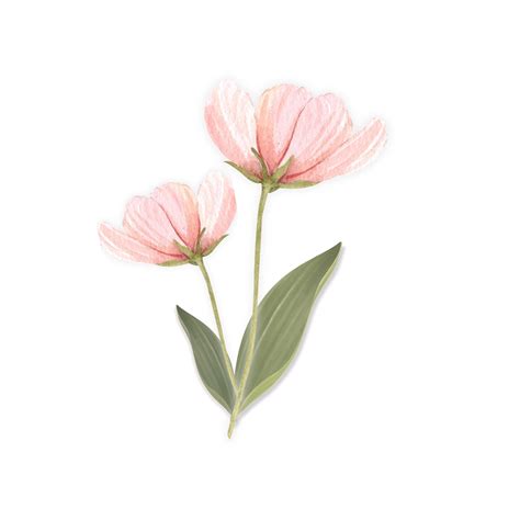 Download Free Live Pink Commercial Use For Crafts