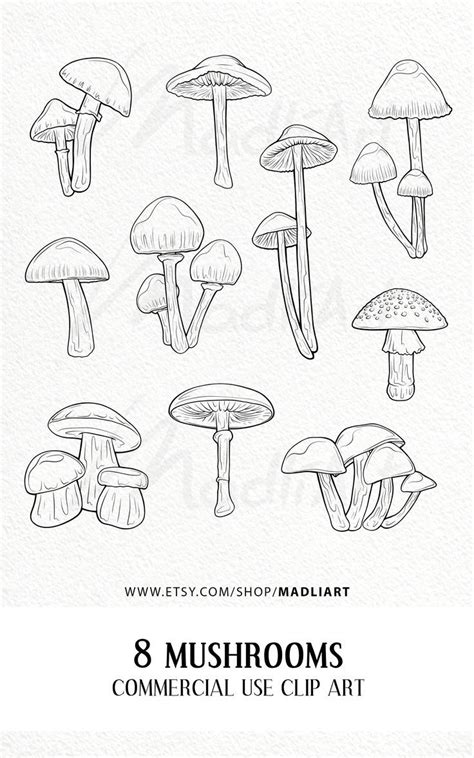 Download Free Magic Mushroom Commercial Use