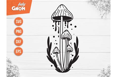 Download Free Magic Mushroom Easy Edite