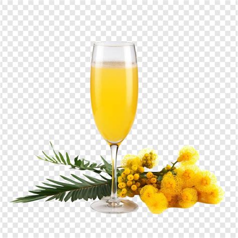 Download Free Mimosas Images