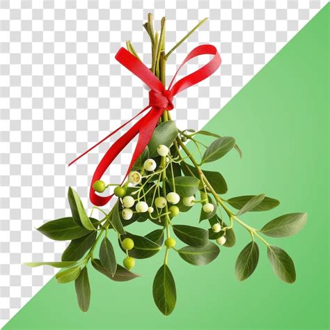 Download Free Mistletoe Farms Files Free PSD Mockups