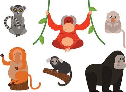 Download Free Monkey. Vector Illustration Crafts