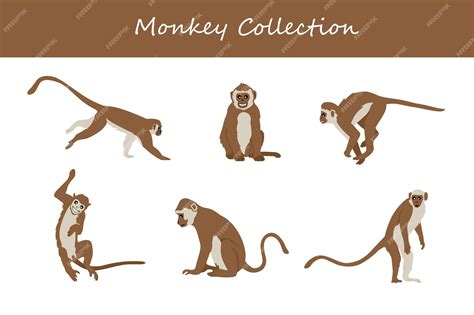 Download Free Monkey. Vector Illustration Cut Images