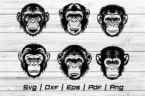 Download Free Monkey. Vector Illustration Files For Crafts