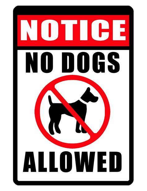 Download Free Not Allowed To Do Magic Printable