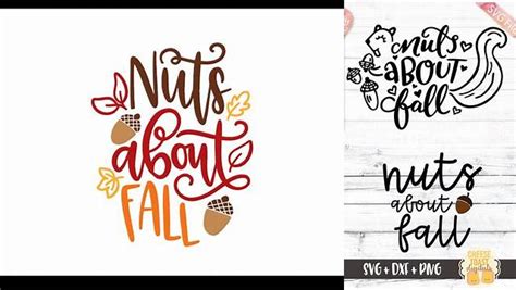 Download Free Nuts about fall SVG Files DXF Files