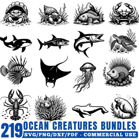 Download Free Ocean Creatures SVG Bundle Creativefabrica DXF Files