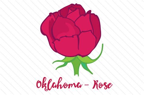 Download Free Oklahoma Rose SVG Cut File Commercial Use DXF Files