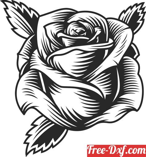 Download Free Ombre Rose - SVG File, DXF File DXF Files