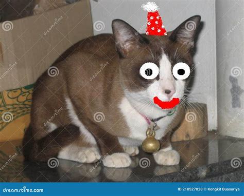 Download Free Only To Big Easy Edite