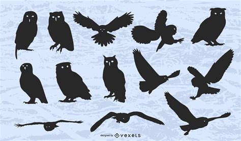 Download Free Owl Bird Cut File Vector Silhouette Commercial Use Free PSD Mockups