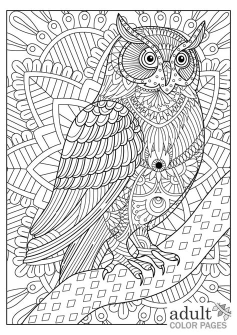 Free Owl Coloring Pages For Adults