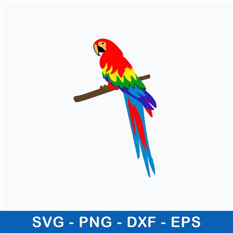 Download Free Parrot SVG / DXF / EPS / PNG Files Commercial Use