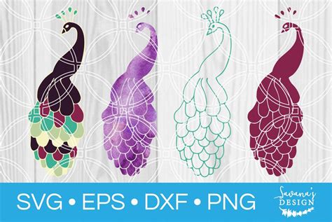 Download Free Peacock SVG / DXF / EPS / PNG Files Files