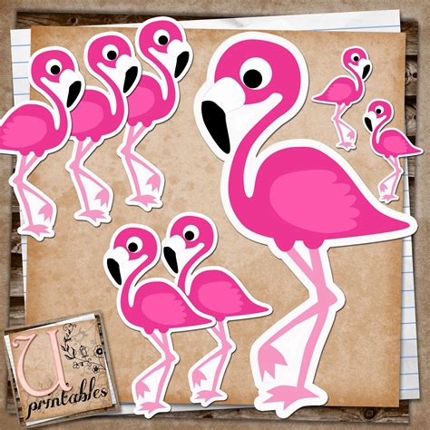 Download Free Pink Flamingo,Flamingo Printable Commercial Use
