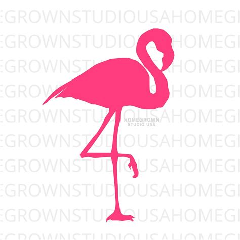 Download Free Pink Flamingo,Flamingo Printable Commercial Use DXF Files