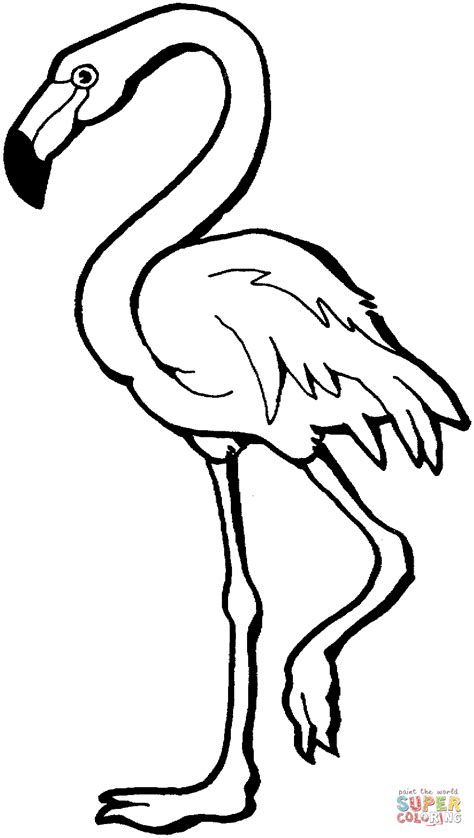 Download Free Pink Flamingo,Flamingo Printable Easy Edite