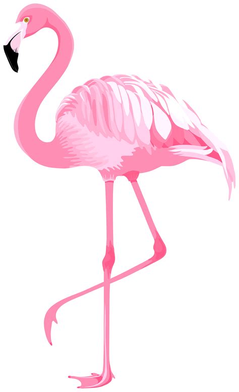 Download Free Pink Flamingo,Flamingo Printable Images
