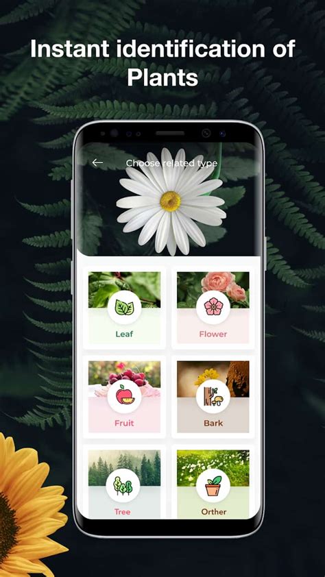Discover Plants for Free with Our Identification App!