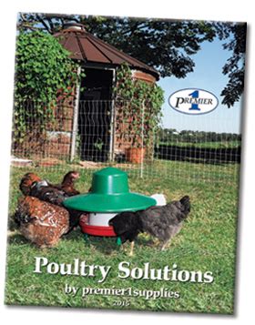 Free Poultry Catalogs