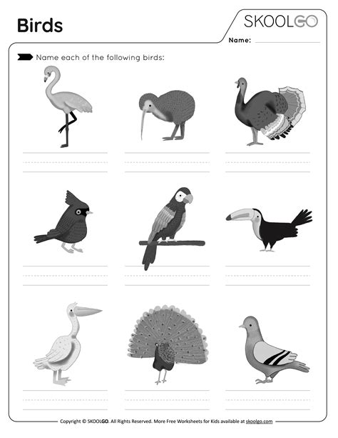 Free Printable Bird Test