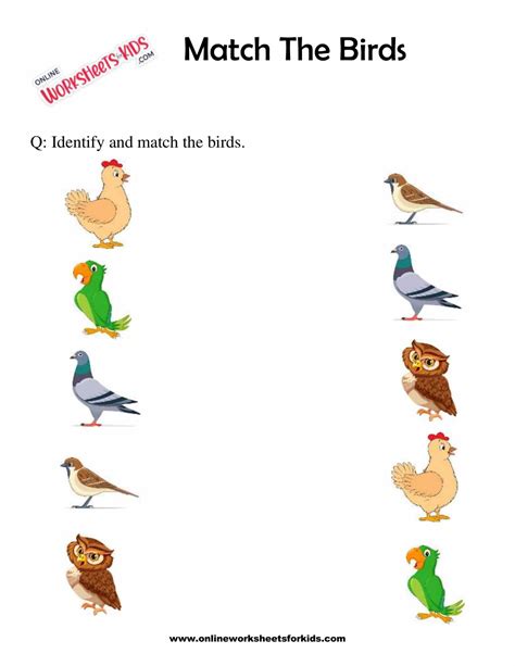 Free Printable Bird Worksheets For Preschoolers