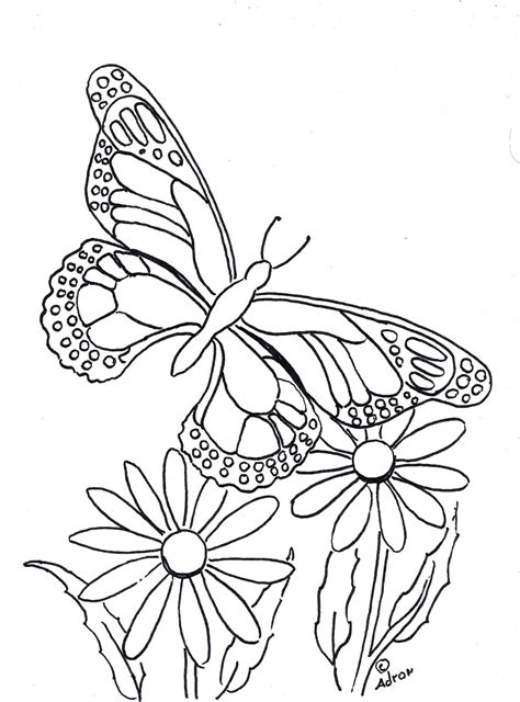 Free Printable Butterflies Coloring Pages