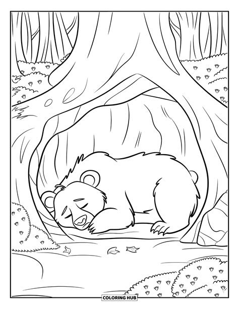 Free Printable Coloring Pages Hibernating Animals
