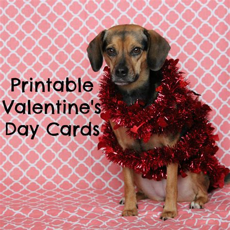 Free Printable Dog Valentine Cards