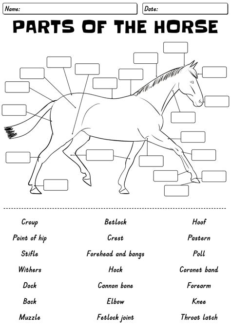 Free Printable Horse Worksheets | RED OAK RIDER Program | Kids