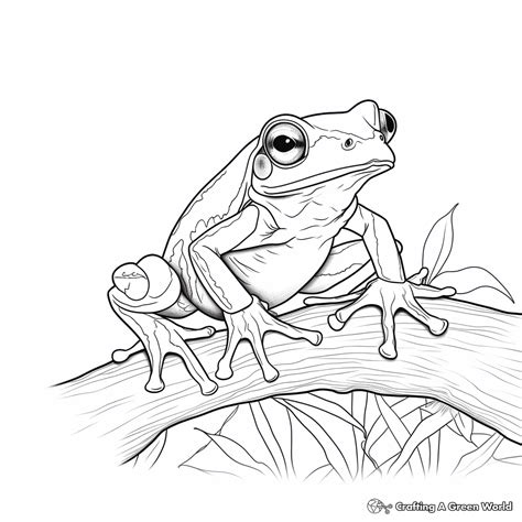 Free Printable How To Draw A Tree Frog
