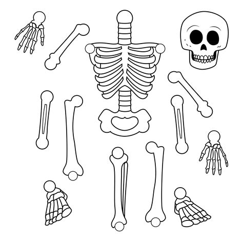 Free Printable Life Size Printable Skeleton