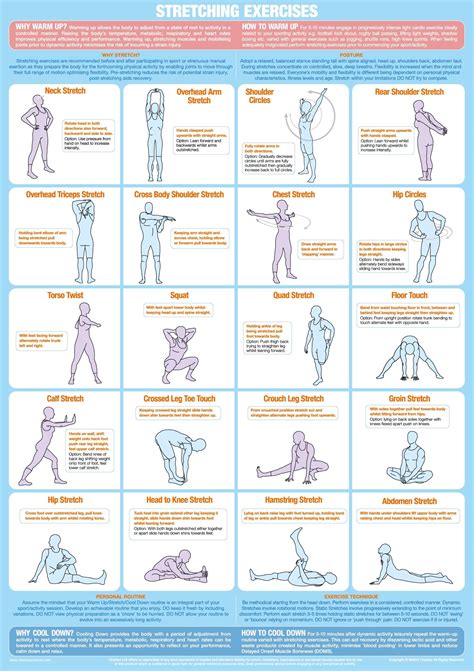 Free Printable Stretching Exercises For Seniors