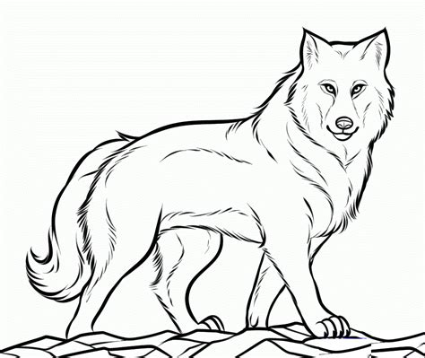 Free Printable Wolf Coloring Pages