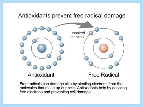 Unleash the Power of Rejuvenation with the Best Tips to Combat Free Radical Damage on Your Skin!