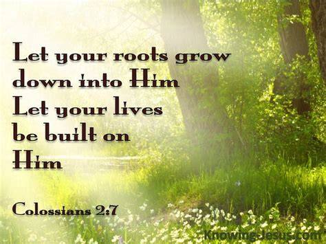 Download Free Rooted In Christ Colossians 2:7 Jesus Images