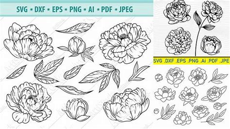 Download Free SVG Pink Peonies SVG Files
