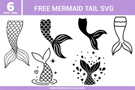 Download Free Scissor Tail SVG Cut File Files Free PSD Mockups