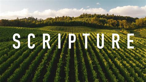 Download Free Scripture Series Creativefabrica