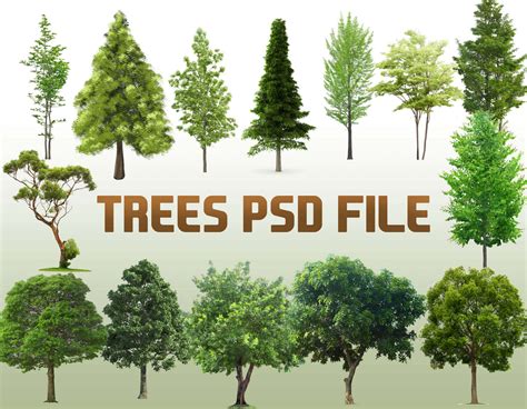 Download Free Set trees PNG, JPG Files
