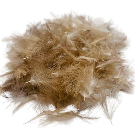 Download Free Shipping | Mailing Box Mock-up PSD Templates Placeit