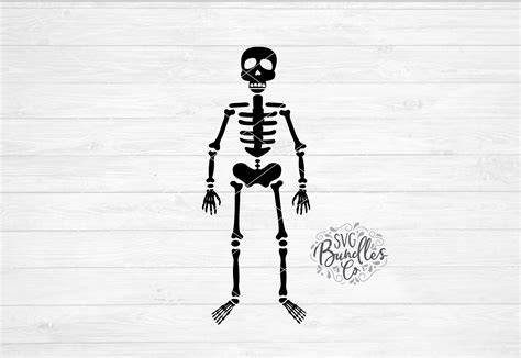 Download Free Simple Halloween Skeleton SVG-DXF-PNG DXF Files