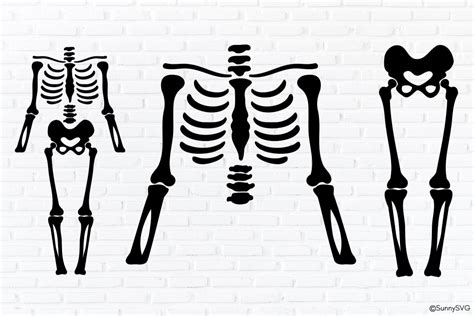 Download Free Skeleton silhouette SVG bundle DXF Files