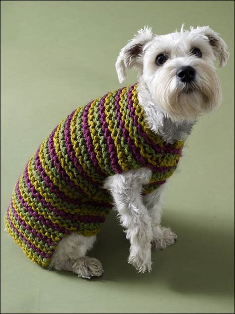 Free Small Dog Crochet Sweater Pattern