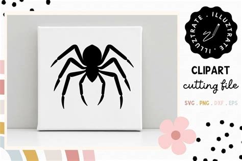 Download Free Spider SVG Cut File Commercial Use