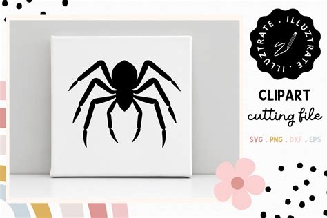 Download Free Spider SVG Cut File Crafts