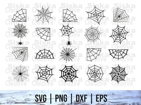 Download Free Spider Web SVG Bundle Cameo